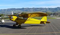 N98300 @ O69 - Locally-based Piper Cub taxing back to its hangar at Petaluma Municipal Airport, Petaluma, CA. - by Chris Leipelt
