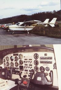 N53531 @ 3I6 - N53531 at 3I6, Combs field Paintsville, KY @ 1988.  We called it the Chartreuse Goose - by M Feamster