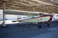 N4203V @ KRHV - Locally-based 1948 Cessna 170 parked at its shelter at Reid Hillview Airport, San Jose, CA. - by Chris Leipelt