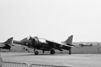 XV795 @ EHDP - Harrier GR.3 of RAF 3 squadron at De Peel air base, the Netherlands, 1980 - by Van Propeller