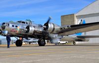 N9323Z @ CTB - A B-17 returns to the former Cut Bank Army Air Field! A squadron of the 390th and 401st Bomb Groups trained here prior to their deployment's to England in WW2. - by Jim Hellinger