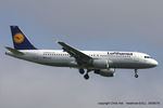 D-AIZO @ EGLL - Lufthansa - by Chris Hall
