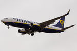 EI-DYY @ EHEH - Ryanair - by Air-Micha