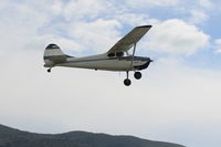 N3106B @ SZP - 1952 Cessna 170B, Continental C145 145 Hp, takeoff climb Rwy 22 - by Doug Robertson