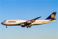 D-ABYP @ EDDF - Boeing 747-830 - by Jerzy Maciaszek