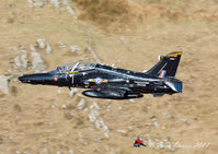 ZK034 - Hawk captured at Bwlch Oerddrws. - by id2770
