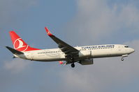 TC-JVD @ LMML - B737-800 TC-JVD Turkish Airlines - by Raymond Zammit