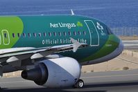 EI-DEO @ GCRR - Aer Lingus (Irish Rugby Team Livery) departure to Dublin - by JC Ravon - FRENCHSKY