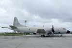 14806 - Lockheed P-3P Orion at the Museu do Ar, Sintra