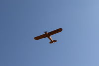 N71044 @ SZP - 1946 Piper J3C-65 CUB, Continental A&C-65 65 Hp, another takeoff climb Rwy 22 - by Doug Robertson