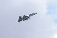 A21-49 @ YSWG - RAAF (A21-49) McDonnell Douglas F/A-18A Hornet flypast at Wagga Wagga Airport - by YSWG-photography