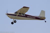 N3683C @ KOSH - Cessna 180 Skywagon  C/N 31182, N3683C - by Dariusz Jezewski www.FotoDj.com