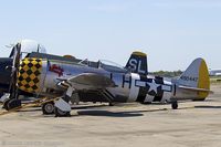 N1345B @ KFRG - Republic P-47D Thunderbolt Jacky's Revenge  C/N 44-90447, NX1345B
