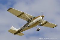 N3323Y @ KOSH - Cessna 182E Skylane  C/N 18254323, N3323Y - by Dariusz Jezewski www.FotoDj.com