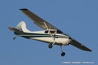 N1478D @ KOSH - Cessna 170A  C/N 20061, N1478D