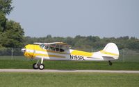 N195PL @ KMDH - Cessna 195