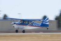 N262AC @ KPAE - American Champion landing at KPAE. - by Eric Olsen