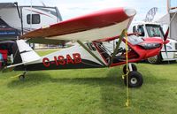 C-ISAB @ KOSH - Bush Cat