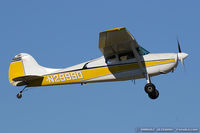 N2999D @ KOSH - Cessna 170B  C/N 26942, N2999D - by Dariusz Jezewski www.FotoDj.com