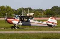 N8304A @ KOSH - Cessna 170B  C/N 25156, N8304A - by Dariusz Jezewski www.FotoDj.com