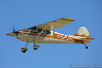 N9954A @ KOSH - Cessna 170A  C/N 19314, N9954A