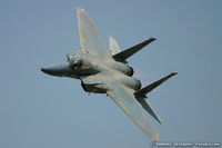 84-0008 - F-15C Eagle 84-0008 FF from 94th FS Spads 1st FW Langley AFB, VA - by Dariusz Jezewski www.FotoDj.com