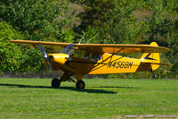 N4568M - Piper PA-11 Cub Special C/N 11-71 - Flying Farmer - Stanley Segalla, N4568M
