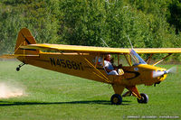 N4568M - Piper PA-11 Cub Special C/N 11-71 - Flying Farmer - Stanley Segalla, N4568M - by Dariusz Jezewski www.FotoDj.com
