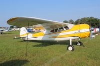 N195AP @ LAL - Cessna 195A - by Florida Metal