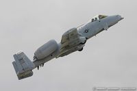80-0236 @ KLSV - A-10A Thunderbolt II 80-0236 DM from 358th FS Lobos 355th Wing Davis-Monthan AFB, AZ - by Dariusz Jezewski www.FotoDj.com