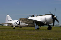 N647D @ KYIP - Republic P-47D Thunderbolt Wicked Wabbit  C/N 8955583, NX647D