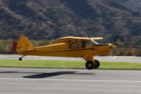 N713WK @ SZP - 1959 Piper PA-18-150 SUPER CUB, Lycoming O-320 150 Hp, another landing Rwy 22 - by Doug Robertson