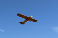 N23266 @ SZP - 1939 Piper J3C65 CUB, Continental A&C65 65 Hp, takeoff climb Rwy 22 - by Doug Robertson