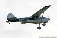 N9959A @ KMIV - Cessna 170A  C/N 19319, N9959A - by Dariusz Jezewski www.FotoDj.com