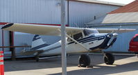 N3106B @ SZP - 1952 Cessna 170B, Continental C145 145 Hp, Tundra tires. At RAY's AVIATION. - by Doug Robertson