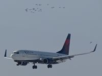 N393DA @ KBOI - Ducking under the geese while landing RWY 10L. - by Gerald Howard