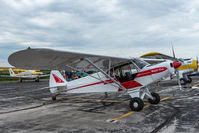 N9843Q @ 8D1 - Piper PA-18 N9843Q at New Holstein, WI. - by Graham Dash