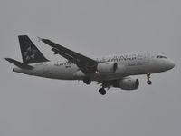 OO-SSC @ LFBD - Brussels Airlines (Star Alliance Livery) 3555 - by Jean Christophe Ravon - FRENCHSKY