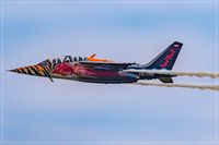 OE-FAS @ EDDR - Dassault-Dornier Alpha Jet A, - by Jerzy Maciaszek