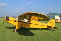 N88354 @ C55 - Piper J3C-65 - by Mark Pasqualino