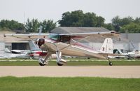 N1902B @ KOSH - Luscombe 8F