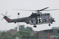 XW224 @ EGDY - Landing at RNAS Yeovilton