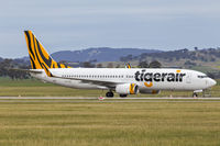VH-VOR @ YSWG - Tigerair Australia (VH-VOR) Boeing 737-8FE(WL) at Wagga Wagga Airport. - by YSWG-photography