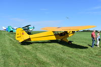 N28042 @ 40I - Piper J3L-65 - by Christian Maurer