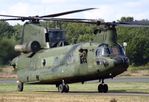 D-667 @ EBBL - Boeing CH-47D Chinook of the KLu at the 2018 BAFD spotters day, Kleine Brogel airbase - by Ingo Warnecke