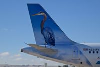 N334FR @ KBOI - Stretch The Great Blue Heron. - by Gerald Howard