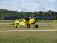 N43616 @ Y50 - old yellow taylorcraft - nice - by magnaman