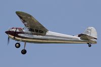 N195WS @ KOSH - Cessna 195B  C/N 7908, N195WS
