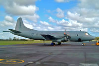 NZ4202 @ NZWP - NZ4202   Lockheed P-3K2 Orion [5192] (Royal New Zealand Air Force) Whenuapai~ZK 27/09/2004 - by Ray Barber