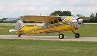N33V @ OSH - Cessna 195